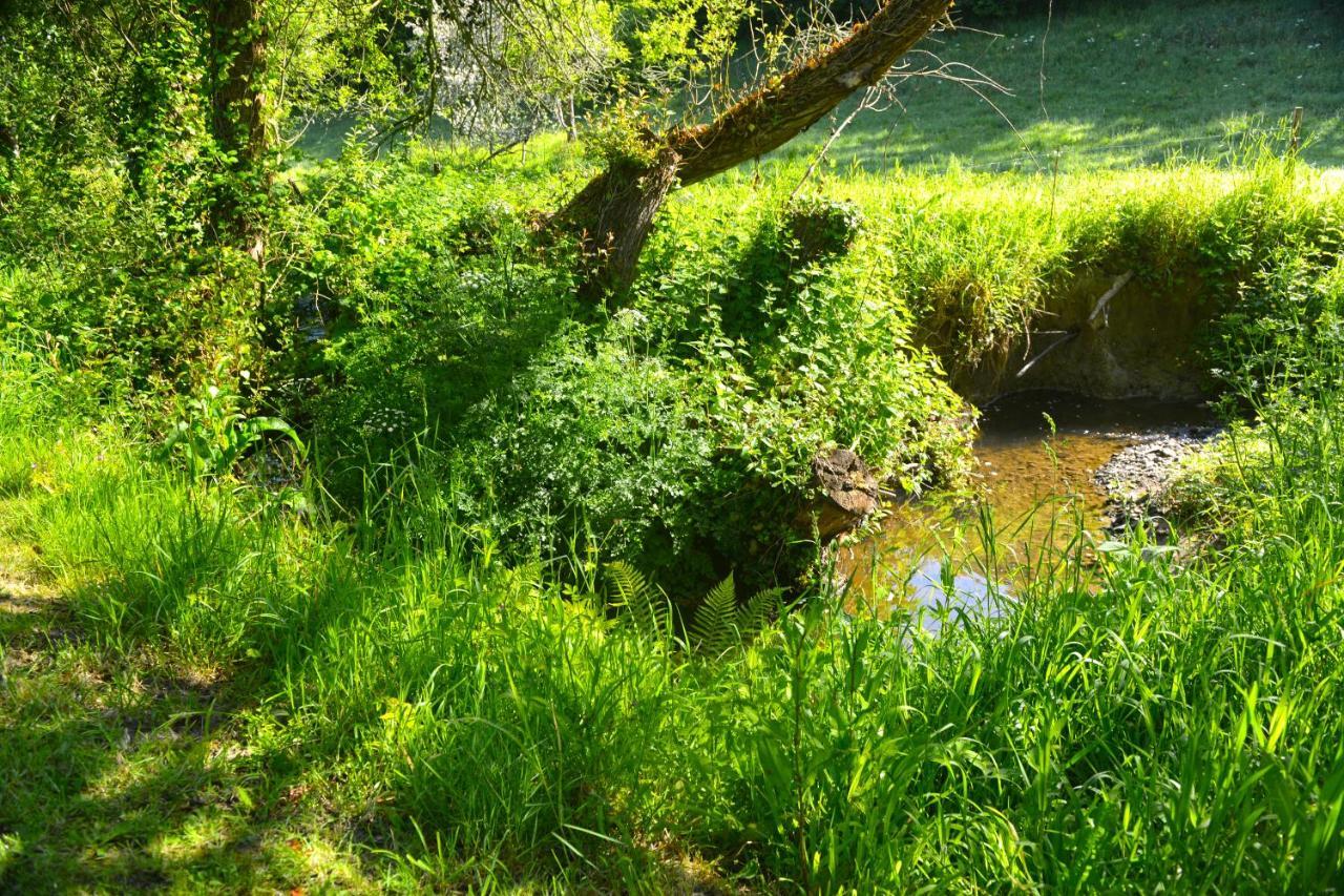 Le Domaine Du Pont Canon Plourivo Kültér fotó